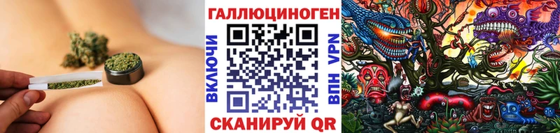 Галлюциногенные грибы Psilocybine cubensis  Углегорск 